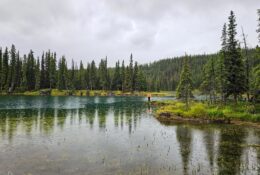 Alaska (52/65)